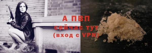 МДПВ Шали
