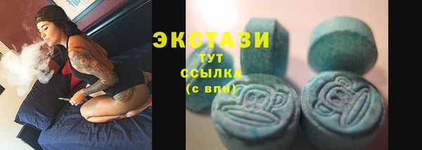 МДПВ Шали