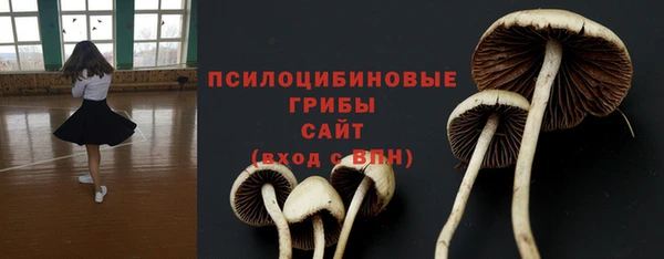 МДПВ Шали