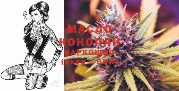 дмт Шадринск