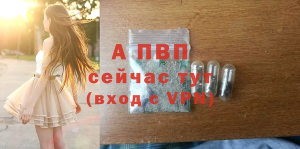 МДПВ Шали