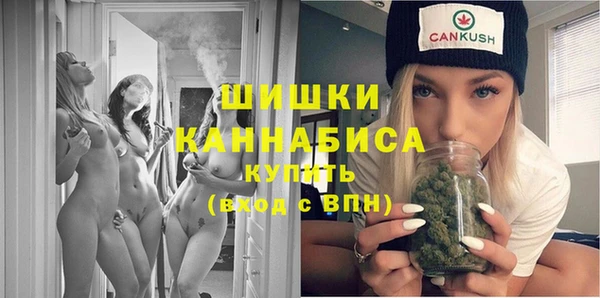 МДПВ Шали