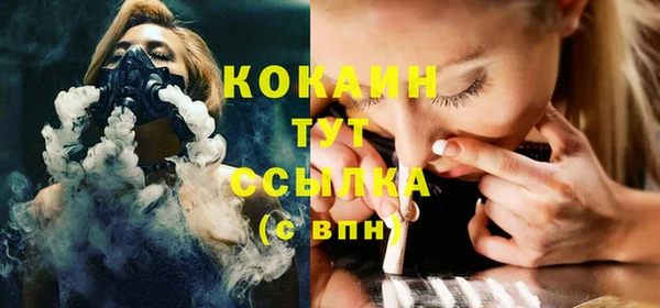 МДПВ Шали